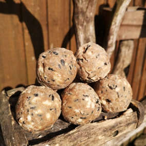 Tom Chambers Garden Wild Bird Fat Balls - 10 pack - Multi Seed & Nut - 100% Extra Free