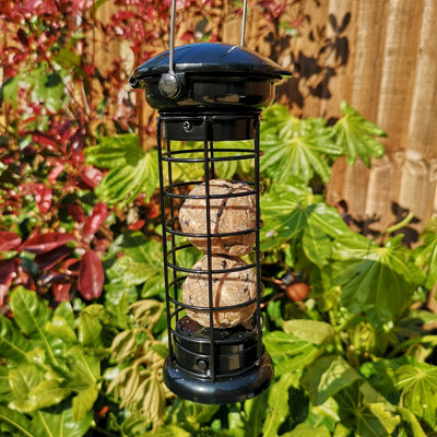 Tom Chambers Heavy Duty Flick and Click Garden Wild Bird Hanging Black Metal Fat Ball Feeder Price Comparisons | Compare The Build