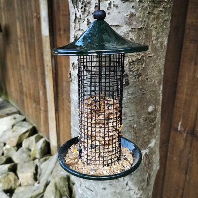 Tom Chambers Oriental Stylish Garden Wild Bird Hanging Green Metal Peanut Feeder Price Comparisons | Compare The Build