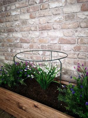 Tom Chambers Urban Metal Herbaceous Garden Plant Support Ring Large ...
