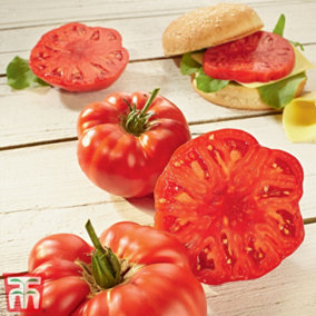 Tomato Buffalosteak F1 1 Seed Packet (4 Seeds)