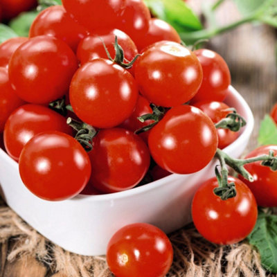 Tomato Consuelo (Crimson Cherry) 1 Seed Packet - 3