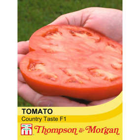 Tomato Country Taste F1 Hybrid 1 Seed Packet (6 Seeds)