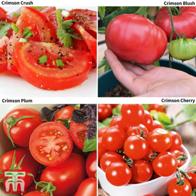 TOMATOさま専用〜 Chopped Tomato-tomato in tin 400g,800g, 2500g,2850g - Tomato