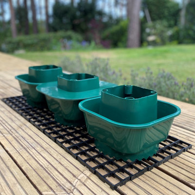 Tomato Growbag Watering Pot Kit - Set of 3 Pots with Planting Guard & Growbag Mat