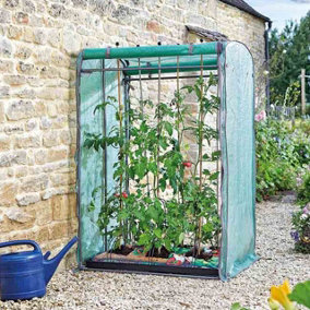 Tomato GroZone Max Mini Greenhouse with Steel Frame, PE Cover, Vent & Cane Holes, Zip Up Front & Back Panels - H150 x W100 x D80cm