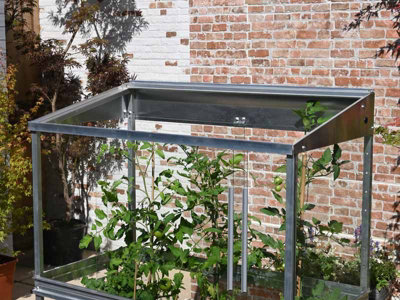 Tomato House Growhouse - Glass - L121 x W65 x H149 cm - Chestnut Brown - 6