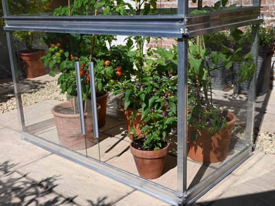 Tomato House Growhouse - Glass - L121 x W65 x H149 cm - Racing Green