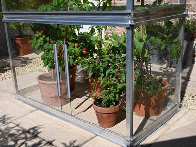 Tomato House Growhouse - Glass - L121 x W65 x H149 cm - Smokey Grey - 3