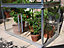 Tomato House Growhouse - Glass - L121 x W65 x H149 cm - Smokey Grey