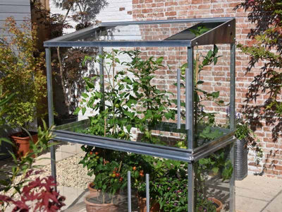 Tomato House Growhouse - Glass - L121 x W65 x H149 cm - Smokey Grey