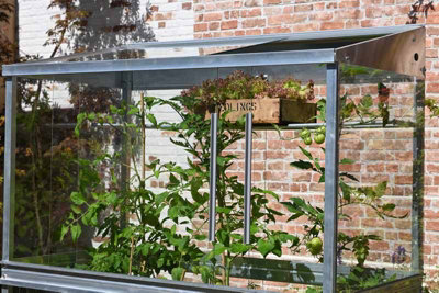 Tomato House Growhouse - Glass - L121 x W65 x H149 cm - Smokey Grey - 5