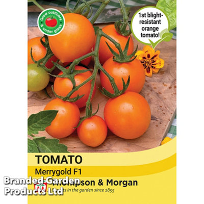 Tomato Merrygold F1 1 Seed Packet (8 Seeds)