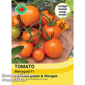 Tomato Merrygold F1 1 Seed Packet (8 Seeds)