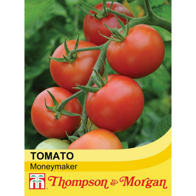 Tomato Moneymaker 1 Seed Packet (50 Seeds)