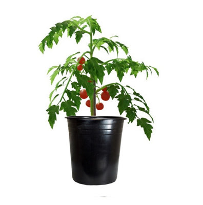 Tomato Pot Planter Large 28cm 12L Black Plastic Garden Cultivation Pot DIY at B&Q