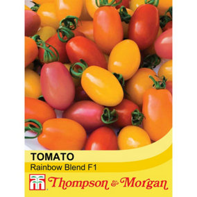 Tomato Rainbow Blend F1 Hybrid 1 Seed Packet (5 Seeds)