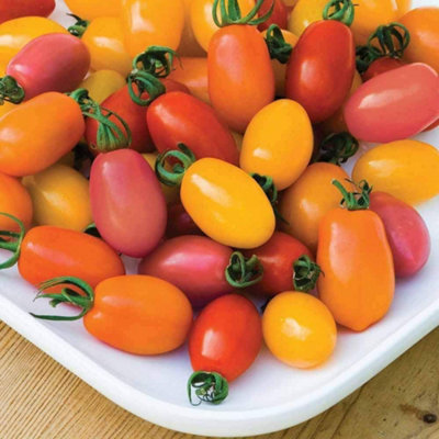Tomato Rainbow Blend F1 Hybrid 1 Seed Packet (5 Seeds)