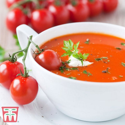 Tomato Red Profusion 1 Seed Packet (8 Seeds) - 3