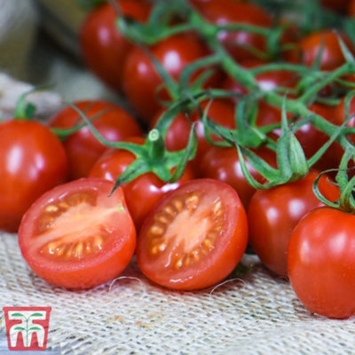 Tomato Rubylicious 1 Seed Packet  (20 Seeds) - 3
