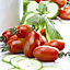 Tomato San Marzano 2 1 Seed Packet (22 Seeds)