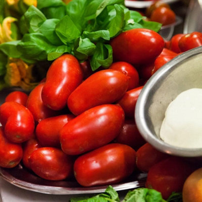 Tomato San Marzano 2 1 Seed Packet (22 Seeds) - 4