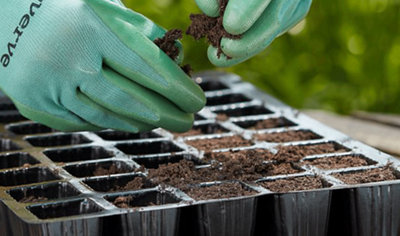 Person wearing gloves filling each compartment of a plastic seed tray with compost, preparing it for planting.