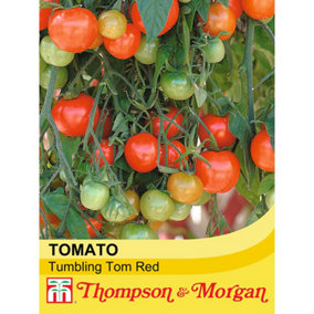Tomato Tumbling Tom Red 1 Seed Packet (15 Seeds)