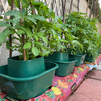 Tomato & Vegetable Growbag Pots (Set of 12)