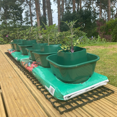 Tomato & Vegetable Growbag Pots (Set of 6)