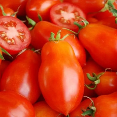 Tomato Vegetable - Roma VF - Plum - Italian favourite Red - Grow Your Own 50 seeds