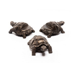 Tortoise Plant Pot Feet - Set of 3 - L8.5 x W6 x H5 cm