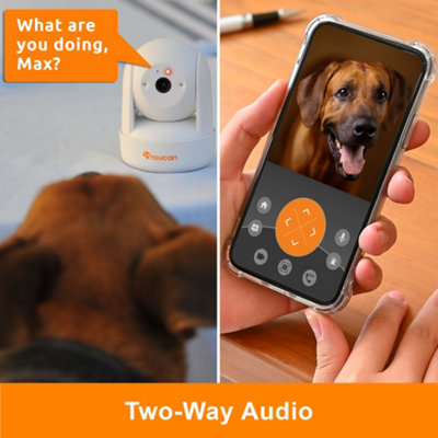 Toucan SEEK, Pan & Tilt Indoor Security Camera