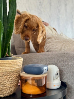 Toucan SEEK, Pan & Tilt Indoor Security Camera