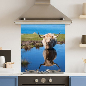 Toughened 6mm Glass Kitchen Splashback 60 x 65cm Water Highland Cow Polished Heat Resistant Back Splash for Cookers Hob