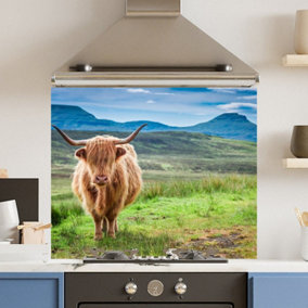 Toughened 6mm Glass Kitchen Splashback 90 x 75cm Green Highland Cow Polished Heat Resistant Back Splash for Cookers Hob