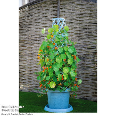 Tower Pot Garden Planter Trellis & Saucer Outdoors Mayan Blue x 1