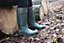 Town & Country Wellingtons / Welly Green or Aubergine
