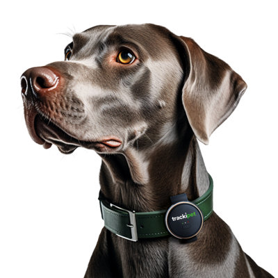 TrackiPet 4G Pet Tracker Slate Grey