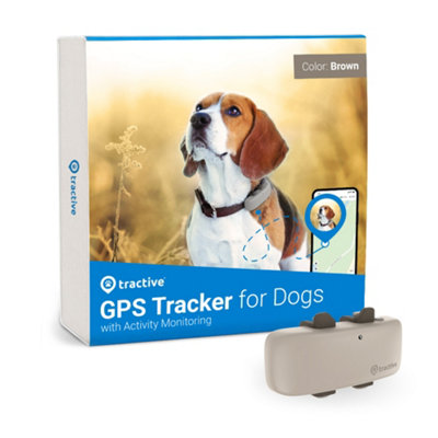 Diy dog cheap tracker