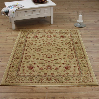 Traditional Floral Graphics Cotton Backing Easy to Clean Rug for Living Room Bedroom and Dining Room-200cm X 300cm - 4