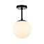 Traditional Glass Globe IP44 Bathroom Ceiling Light Fixture in Matt Black