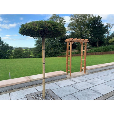 Traditional Grand Devonshire Arch