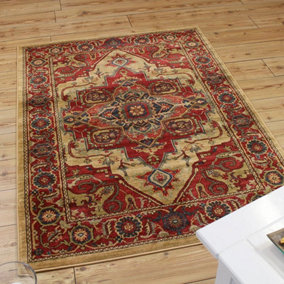 Traditional Graphics Floral Easy to Clean Polypropylene Rug for Living Room Bedroom and Dining Room-160cm X 230cm