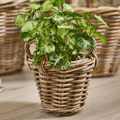 Traditional Lined XXS Wicker Planter Basket with Handles