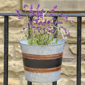 Traditional Style Black Band Outdoor Garden Bucket Planters