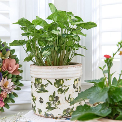 Traditional Style Large Rustic Ribbed Olive Indoor Flower Pot Planter