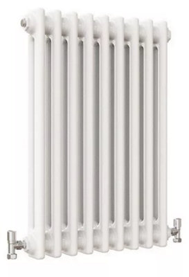 Traditional White 600mm x 425mm Cast Iron Radiator 2 Column