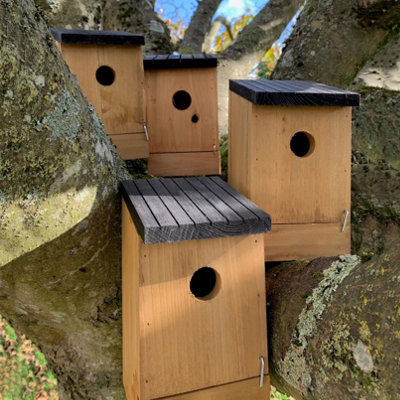 Traditional Wooden Bird Box Nest Birdhouses with Removable Bases (Set of 4) Price Comparisons | Compare The Build