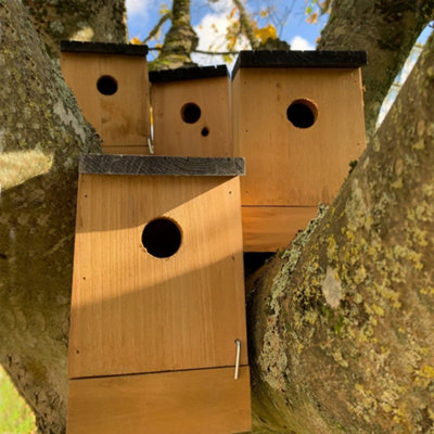 Traditional Wooden Bird Nest Box Birdhouses with Removable Bases (Set of 4) - 3